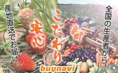 buynavi